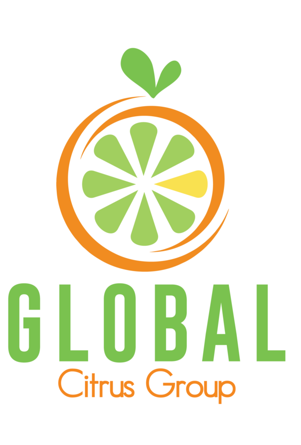Global Logo